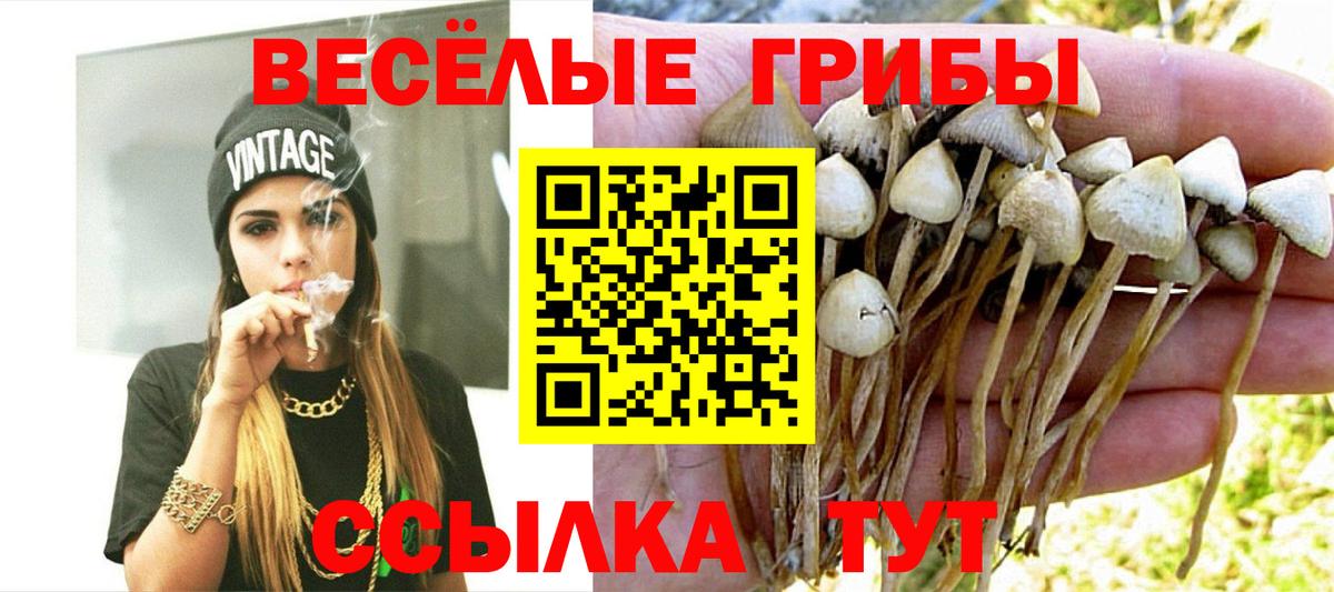 Ейск  Галлюциногенные грибы MAGIC MUSHROOMS  Вход с VPN 